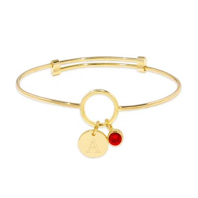 Evesaddiction Custom Gold Birthstone And Initial Charm Bangle Bracelet