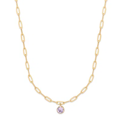 Evesaddiction Custom Gold Paperclip Chain Birthstone Charm Necklace - 1