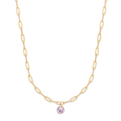 Evesaddiction Custom Gold Paperclip Chain Birthstone Charm Necklace