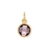 Evesaddiction Cz Bezel Drop Charm - Gold / February In Multi