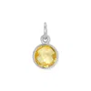 Evesaddiction Cz Bezel Drop Charm - Silver / November In Gold