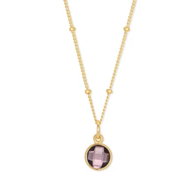 Evesaddiction Gold Custom Gemstone Pendant - February [amethyst]