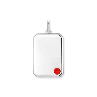 Evesaddiction Men's Birthstone Dog Tag Charm - Silver / July