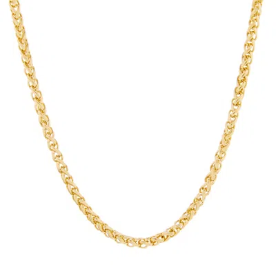 Evesaddiction Men's Gold Plated Stainless Steel Spiga Chain Necklace