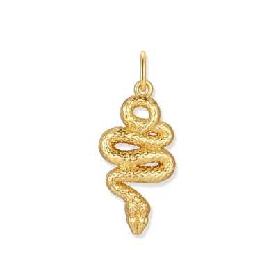 Evesaddiction Men's Snake Charm In Gold
