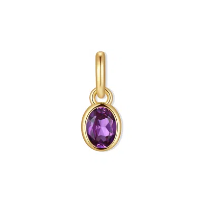 Evesaddiction Oval Bezel Birthstone Charm - Gold / February