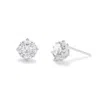 Evesaddiction Sterling Silver Cz Floral Stud Earrings In White