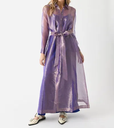 Evi Grintela Valerie Long Sleeve Organza Dress In Purple