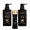 Evidensdebeaute The Body Saho