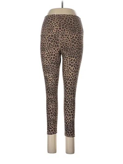 Pre-owned Evolution And Creation Leggings In Brown