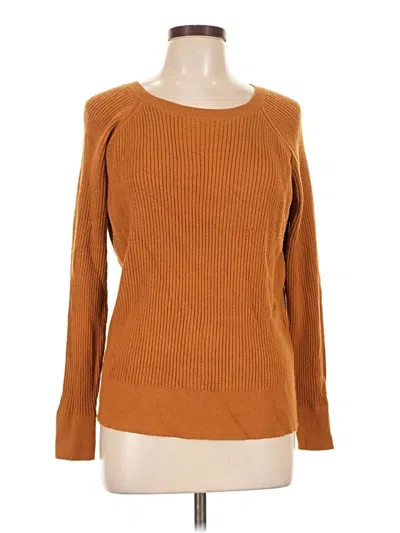 Pre-owned Evolution By Cyrus Pullover Sweater In Brown