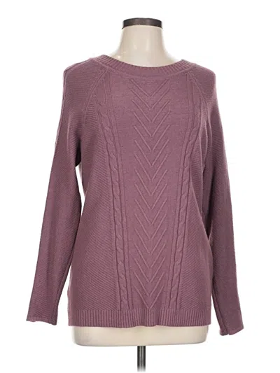 Pre-owned Evolution By Cyrus Pullover Sweater In Purple