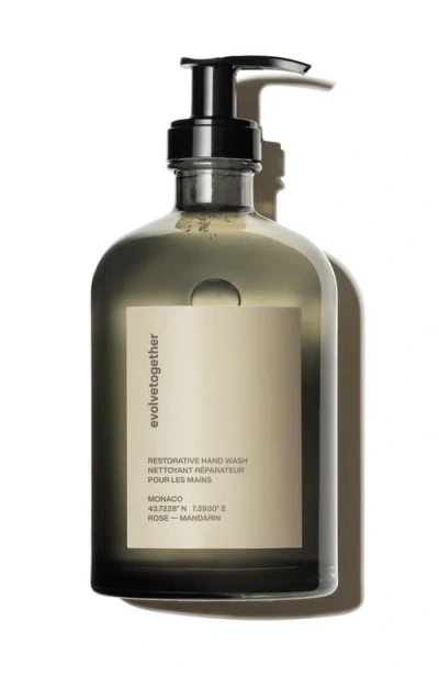 Evolvetogether Monaco Restorative Hand Wash In Green
