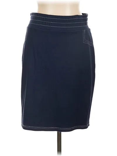 Pre-owned Evy's Tree Casual Skirt In Blue