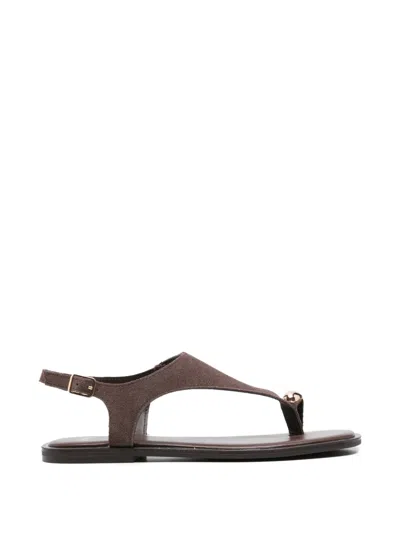 Exe' Buckle-fastening Thong Sandals In Brown