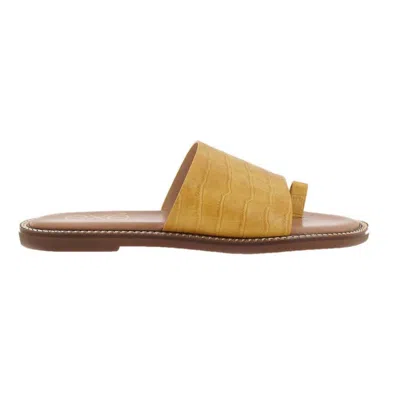 Exe' Women's Alexia Flat Sandals In Yellow In Multi