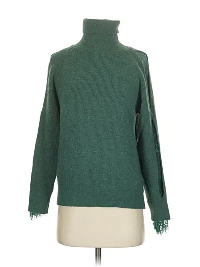 Pre-owned Exlura Turtleneck Sweater In Green