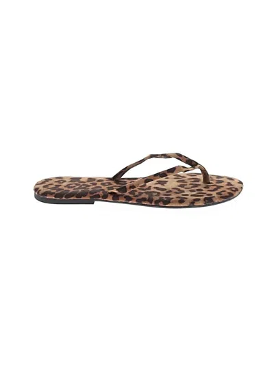 Pre-owned Express Flip Flops In Brown