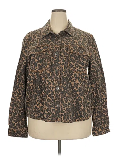 Pre-owned Express Jacket In Brown