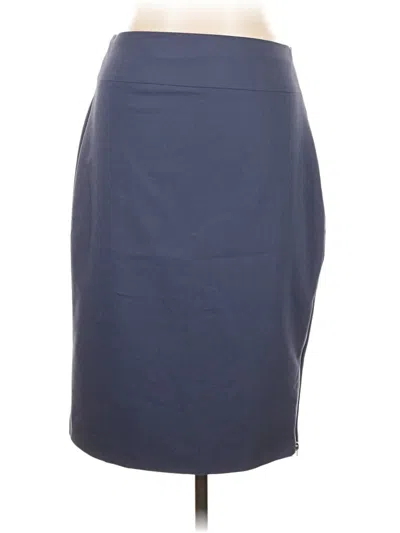 Pre-owned Express Outlet Formal Skirt In Blue