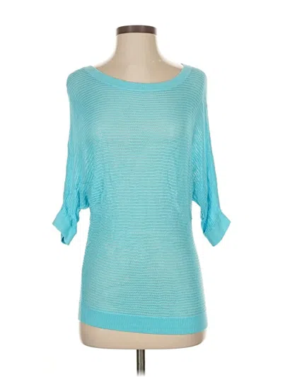 Pre-owned Express Outlet Pullover Sweater In Blue