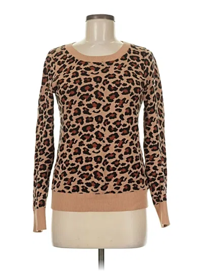 Pre-owned Express Outlet Pullover Sweater In Brown