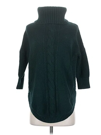 Pre-owned Express Outlet Turtleneck Sweater In Blue