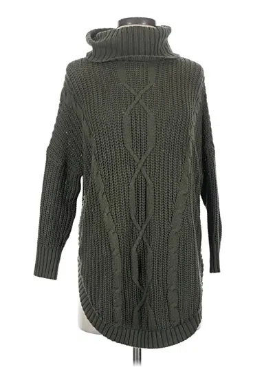 Pre-owned Express Outlet Turtleneck Sweater In Green