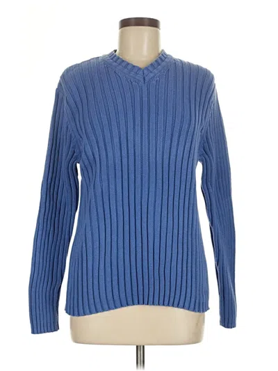 Pre-owned Express Pullover Sweater In Blue