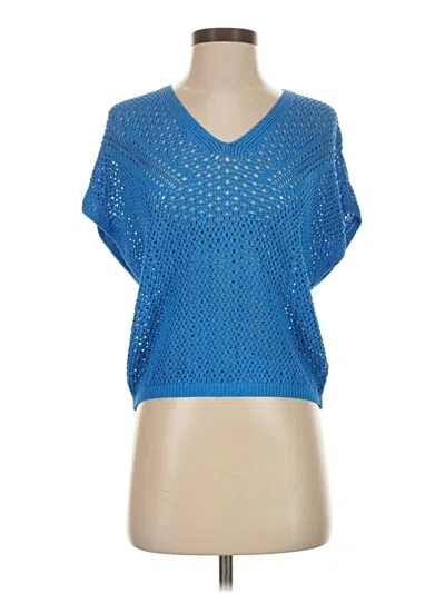 Pre-owned Express Pullover Sweater In Blue