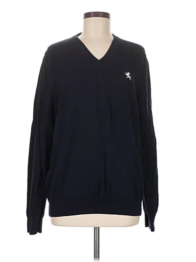 Pre-owned Express Pullover Sweater In Blue