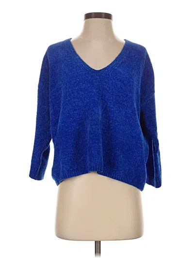 Pre-owned Express Pullover Sweater In Blue