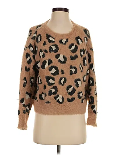 Pre-owned Express Pullover Sweater In Brown