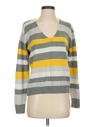 Pre-owned Express Pullover Sweater In Gray