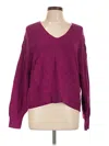 Express Pullover Sweater In Purple
