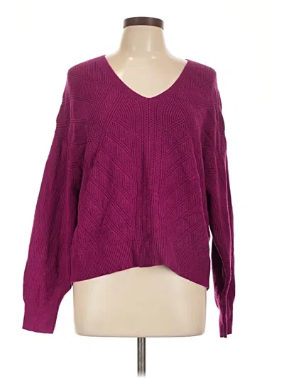 Express Pullover Sweater In Purple