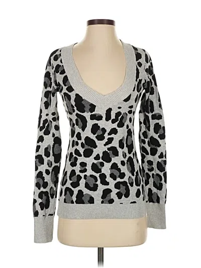 Pre-owned Express Pullover Sweater In Silver