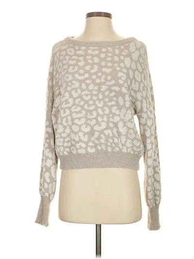 Pre-owned Express Pullover Sweater In Silver