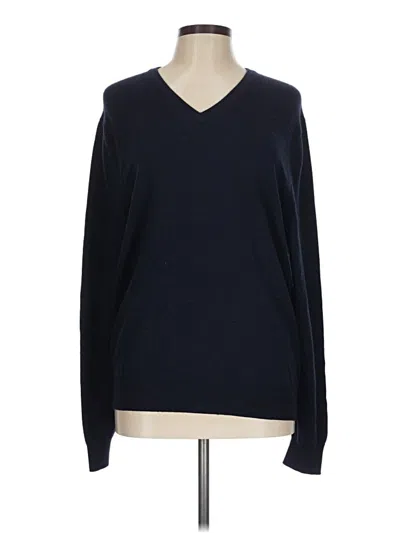 Pre-owned Express Wool Pullover Sweater In Blue