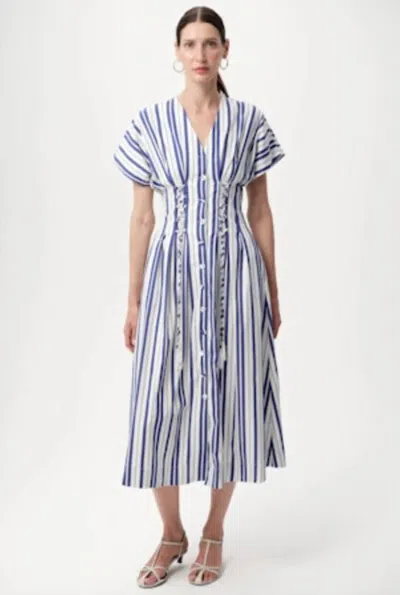 Exquise Aldrick Midi Dress In Blue In Multi