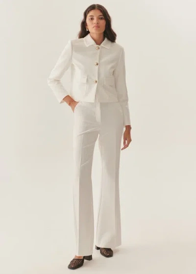 Exquise Catalina Flared Leg Pants In White In Neutral
