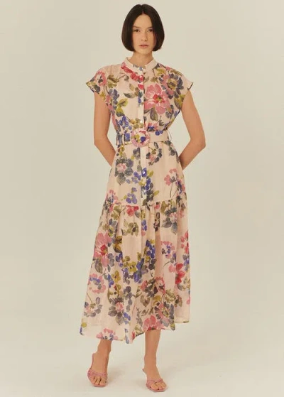 Exquise Evelyn Maxi Dress In Multi