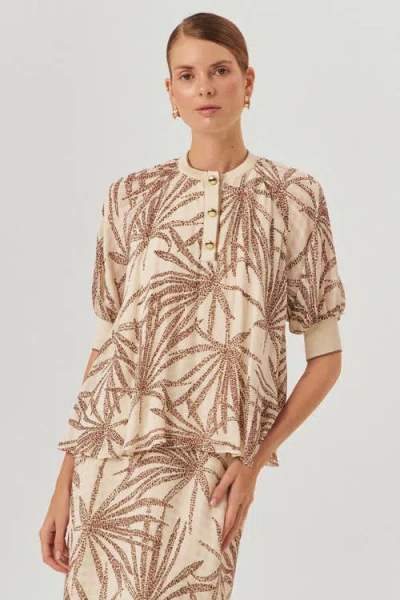 Exquise Palmer Chiffon Blouse In Brown