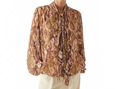 Exquise Sariyah Blouse In Multi Color In Brown
