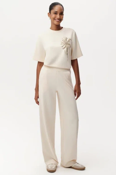Exquise Shayna K Pants Wide Leg Knit Trousers In Neutral