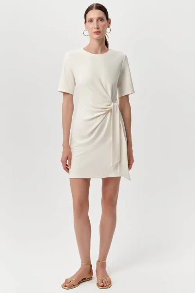 Exquise Velvet Crew Neck Mini Knit Dress In Neutral