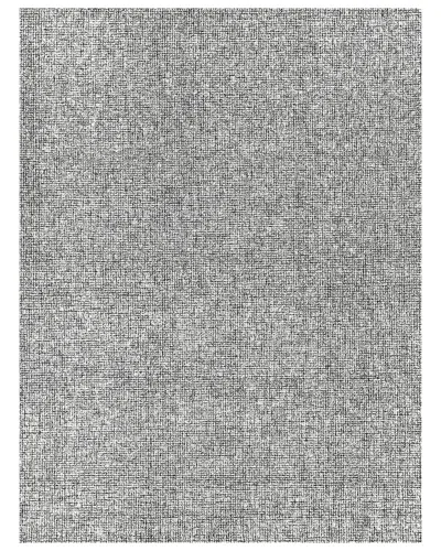 Exquisite Rugs Caprice Hand-tufted New Zealand Wool Rug In Black