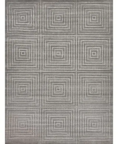 Exquisite Rugs Castelli 3974 Rug Collection In Gray