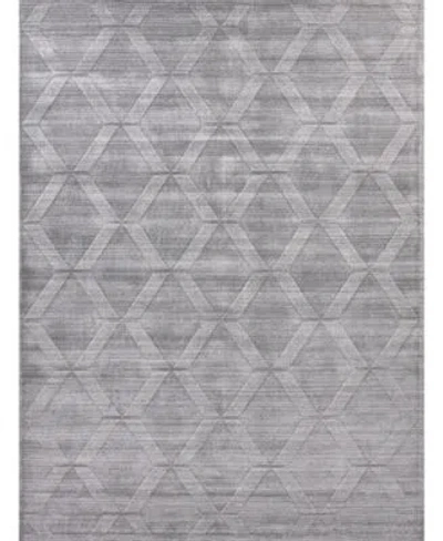 Exquisite Rugs Castelli Er4362 Area Rug In Gray