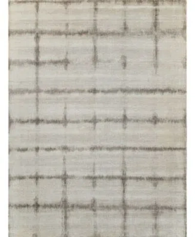 Exquisite Rugs Chroma 4490 Rug Collection In Beige
